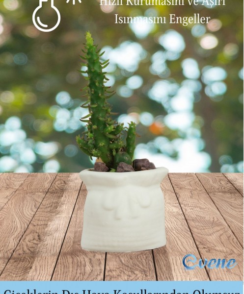 Mini Çiçek Saksı Küçük Sukulent Beyaz Kaktüs Saksısı 3lü Set Kese Model